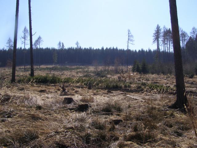 Současný Chlum